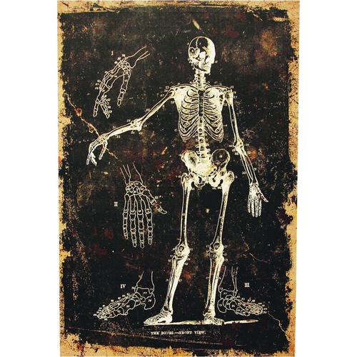 Skeleton Canvas Frame