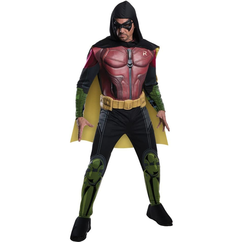 Robin Arkham Adult Costume