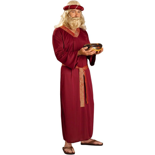 Wiseman Adult Costume