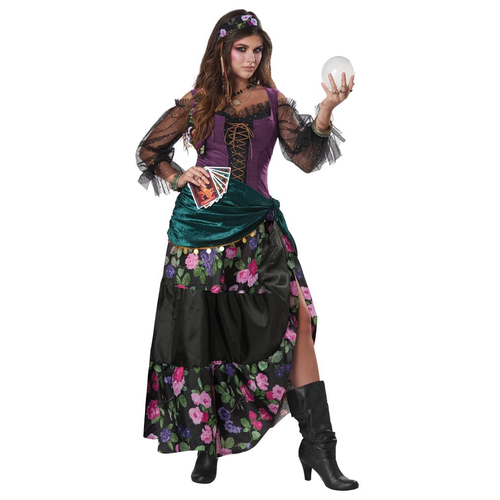 Mystical Fortune Teller Adult Costume