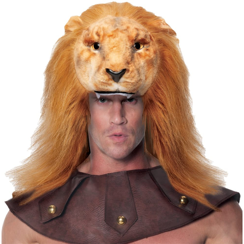 Animals Head Lion Adult