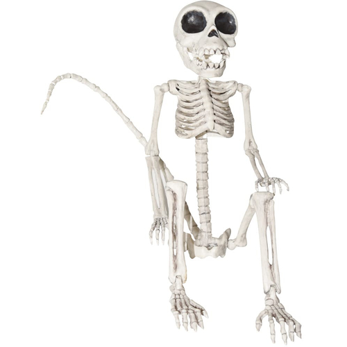 Monkey Skeleton - Halloween Props
