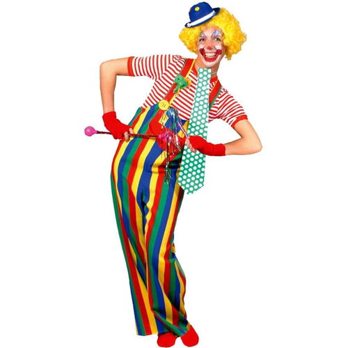 Amusing Clown Adult Costume