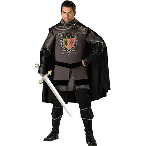 Brave Knight Adult Costume