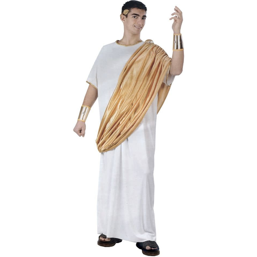 Gaius Julius Caesar Adult Costume