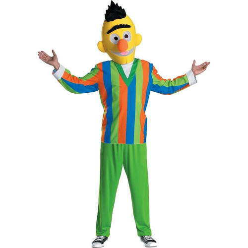 Sesame Street  Bert Adult Costume