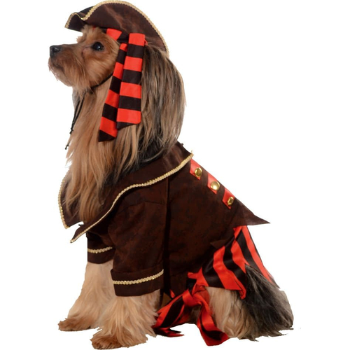 Buccaneer Pet Costume