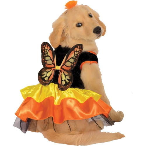 Butterfly Pet Costume for girl dogs