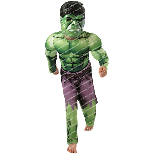 Hulk Superhero Child Costume