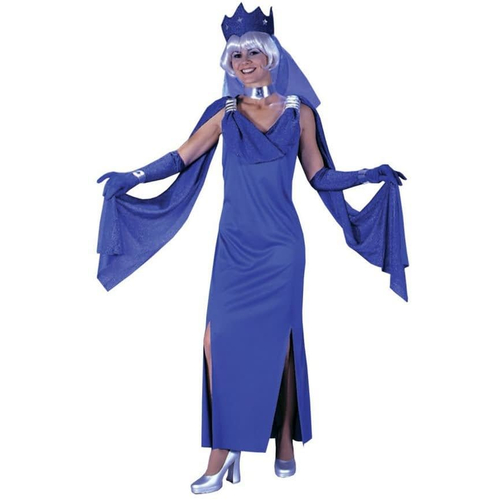 Blue Mistress Adult Costume