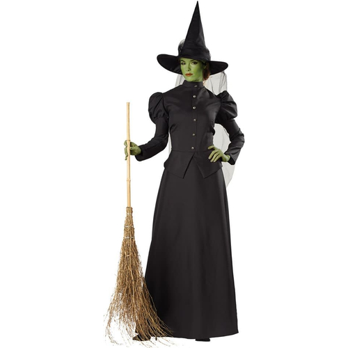 Classic Witch Adult Costume