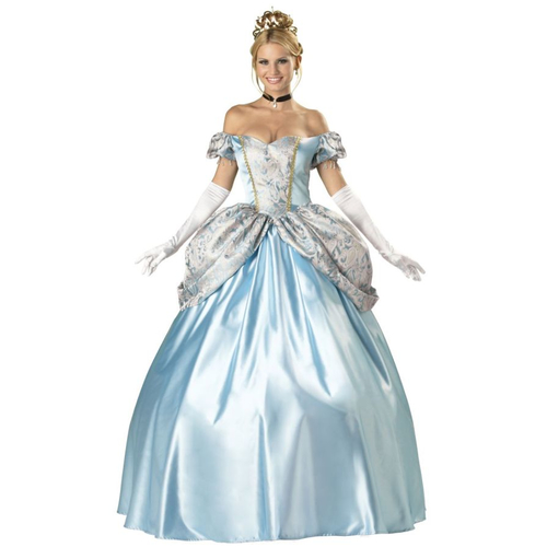 Enchanting Princess Adult Costume