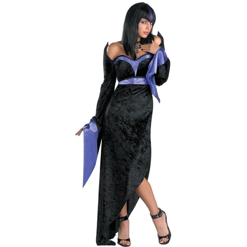 Goth Sorceress Adult Costume