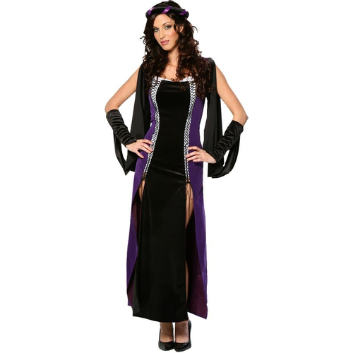 Lady Of Medieval Adult Costume