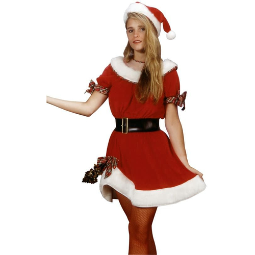 Miss Santa Claus Adult Costume