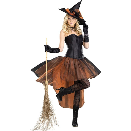 Perfect Witch Adult Costume