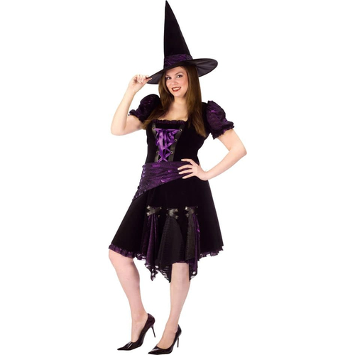 Purple Witch Adult Plus Size Costume