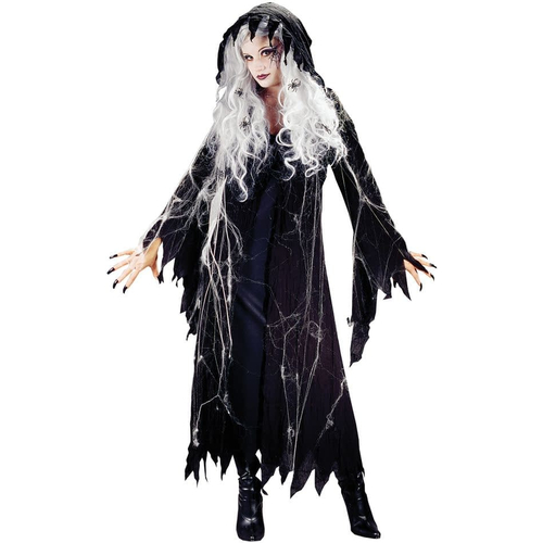 Spider Witch Adult Costume