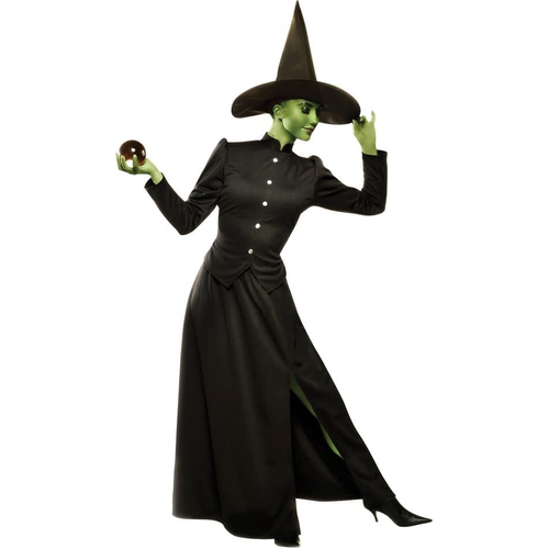 Witch Classic Adult Costume