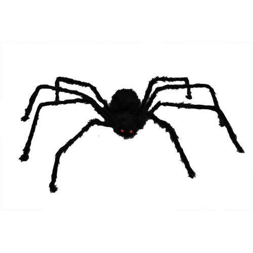 50 Inch Hairy Spider