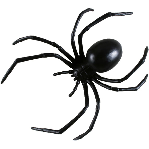 6 Inch Black Widow Spider