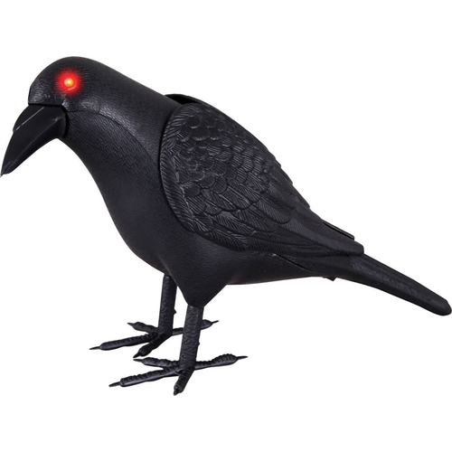 Animated Black Crow