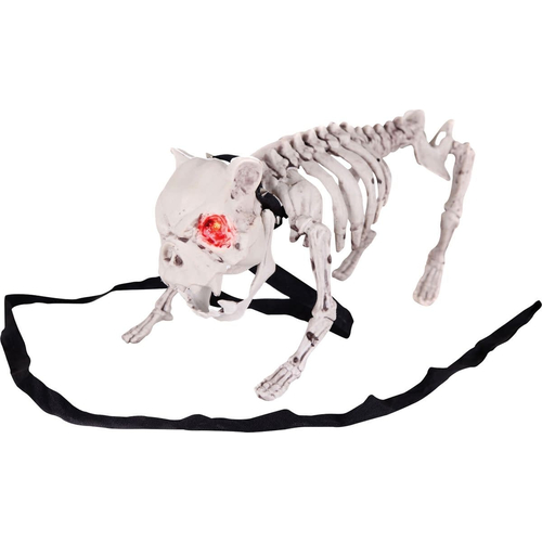 Barking Dog Skeleton