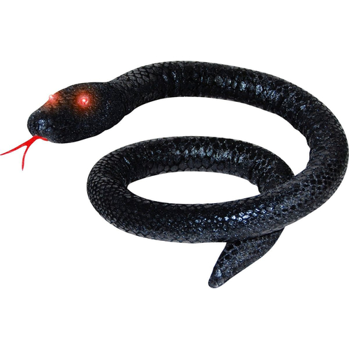 Black Snake With Shining Eyes