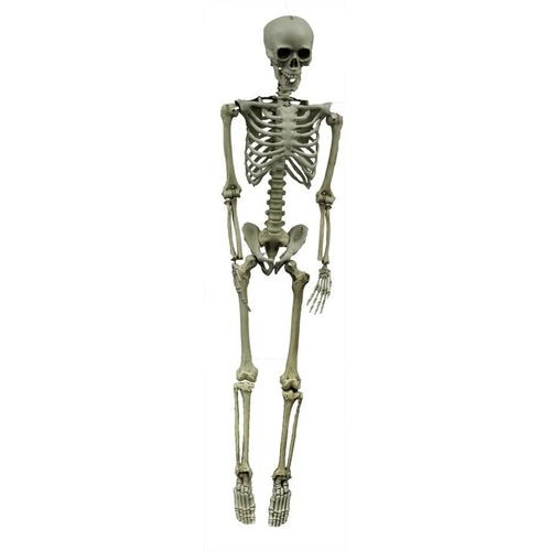 Hooked Skeleton