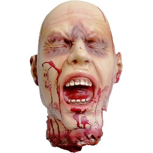 Human Head. Halloween Heads.