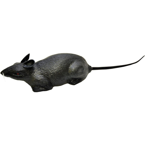 Individual Rat