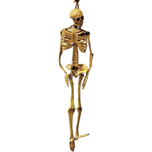 Latex Skeleton