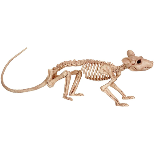 Rat Form Skeleton