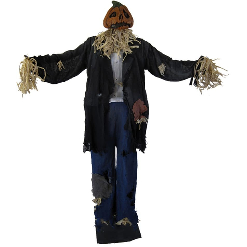 Scarecrow Standing Man