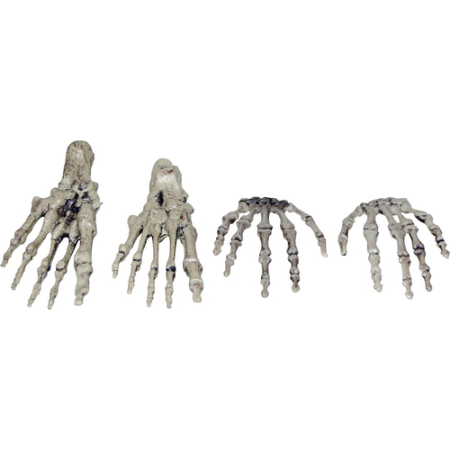 Skeletal Hands And Feet