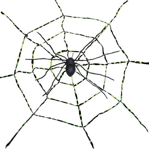Spiderweb With A Spider