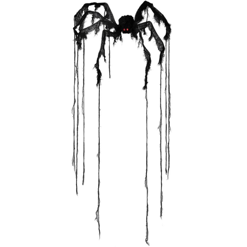 Swamp Spider