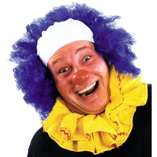 Clown Bald Curly Blue Wig For Adults