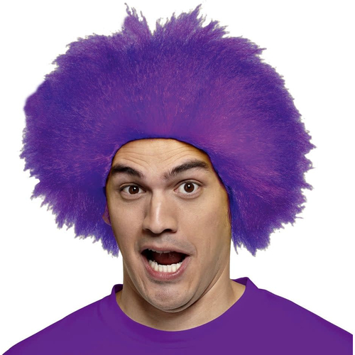 Funny Purple Wig