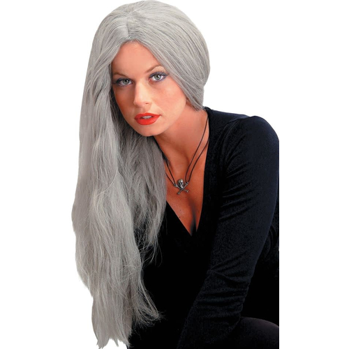 24 Inch Straight Grey Wig For Women