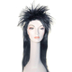Elvira The Mistress Of The Dark Wig Adult