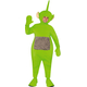 Teletubbies Dipsy Costume For Adults