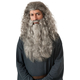 Wig And Beard For Gandalf Costume