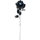 Black Rose with Eye 16 inches