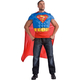Superman Adult Kit