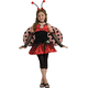 Sweet Ladybug Teen Costume