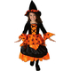 Halloween Witch Toddler Costume