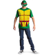 Raphael Adult Plus Costume