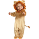 Sweet Lion Costume