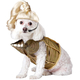 Pop Star Pet Costume